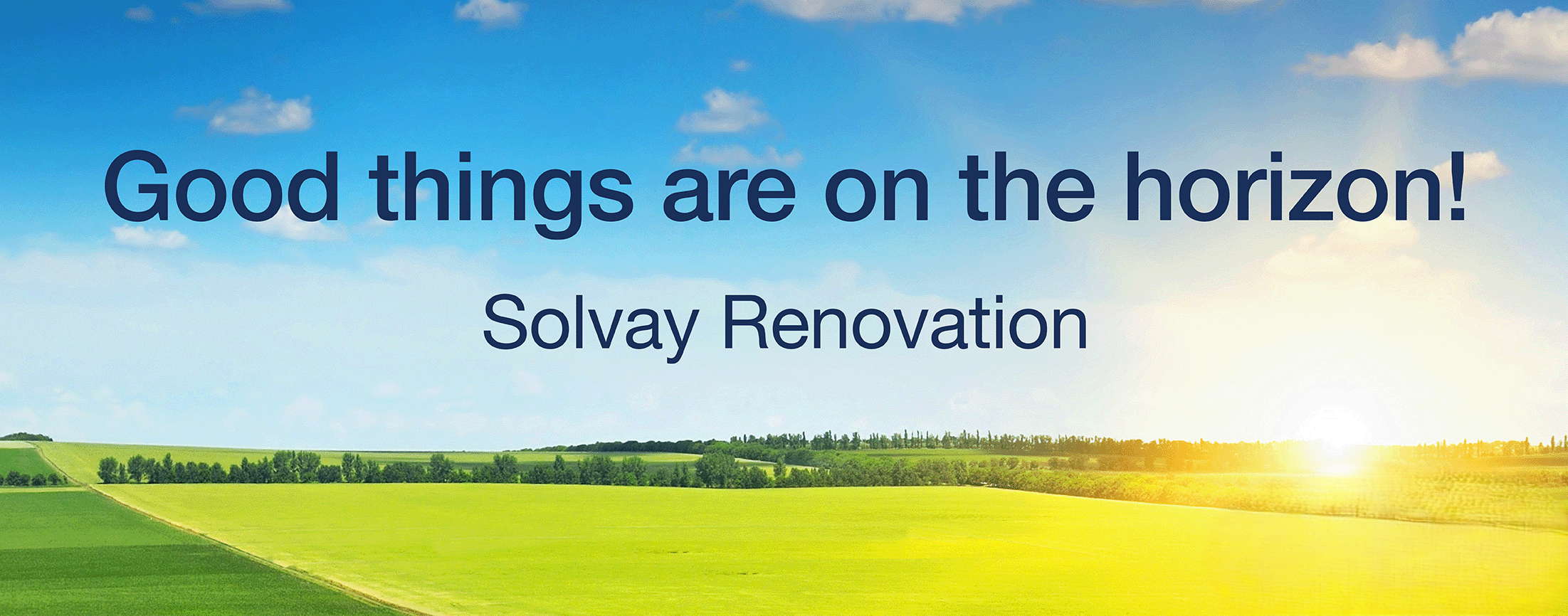 Branch Renovation Page Header Graphic